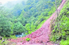 Minister Deshpande for expert panel to study landslides in region